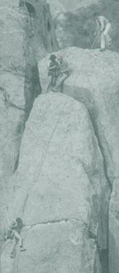 Erfolgreiche L&ouml;sungsentwicklung in Zusammenarbeit